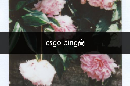 csgo ping高