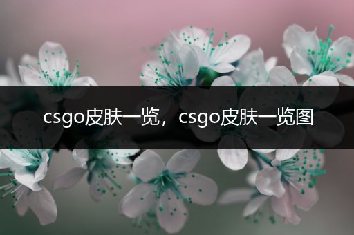 csgo皮肤一览，csgo皮肤一览图