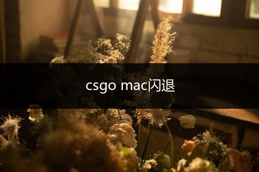 csgo mac闪退