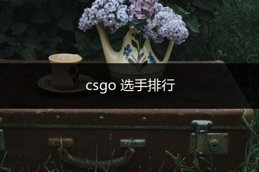 csgo 选手排行