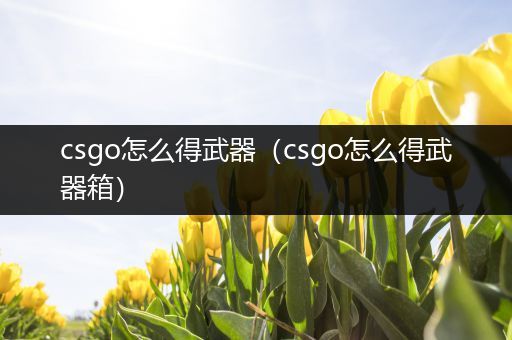 csgo怎么得武器（csgo怎么得武器箱）