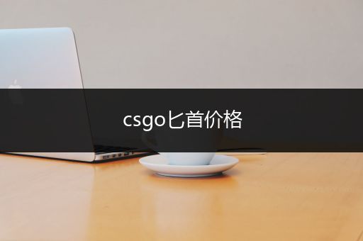 csgo匕首价格