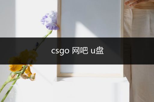 csgo 网吧 u盘