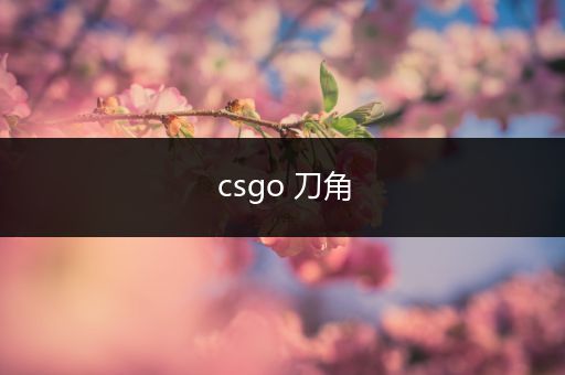 csgo 刀角