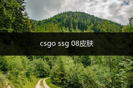 csgo ssg 08皮肤