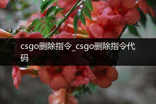 csgo删除指令_csgo删除指令代码