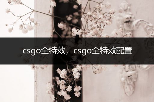 csgo全特效，csgo全特效配置