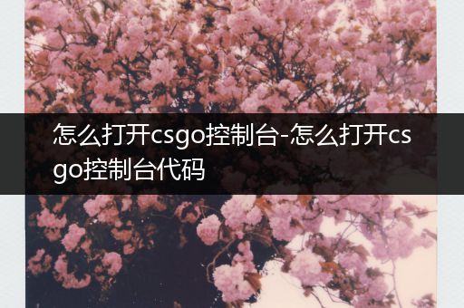 怎么打开csgo控制台-怎么打开csgo控制台代码