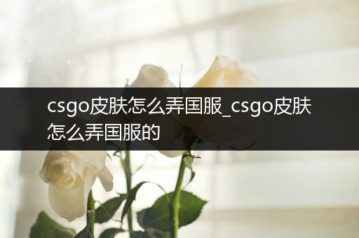 csgo皮肤怎么弄国服_csgo皮肤怎么弄国服的