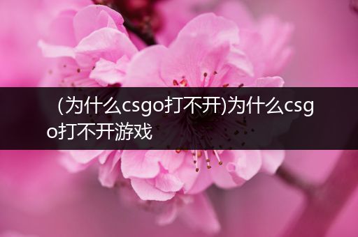 （为什么csgo打不开)为什么csgo打不开游戏