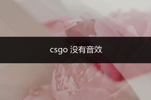 csgo 没有音效