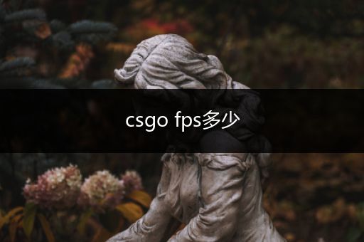 csgo fps多少