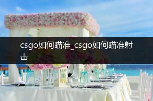 csgo如何瞄准_csgo如何瞄准射击