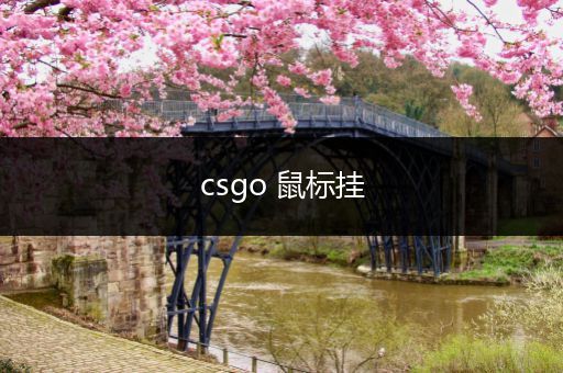 csgo 鼠标挂