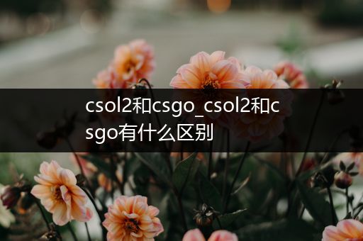 csol2和csgo_csol2和csgo有什么区别