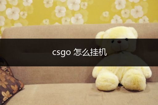 csgo 怎么挂机