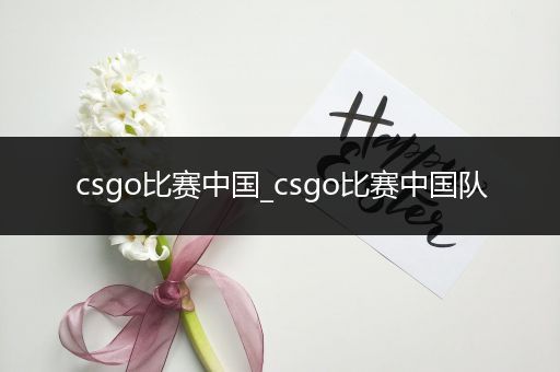 csgo比赛中国_csgo比赛中国队