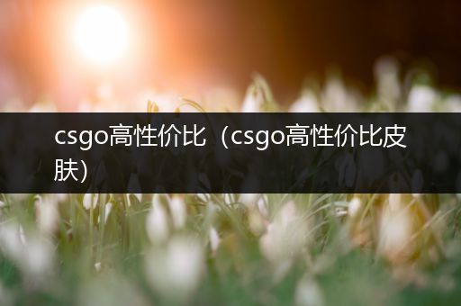 csgo高性价比（csgo高性价比皮肤）