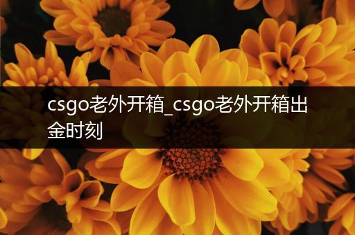 csgo老外开箱_csgo老外开箱出金时刻