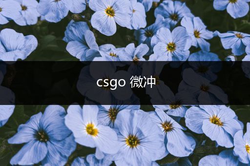 csgo 微冲