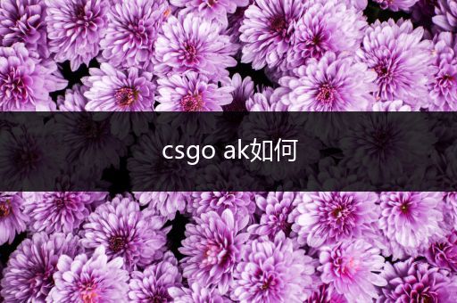 csgo ak如何