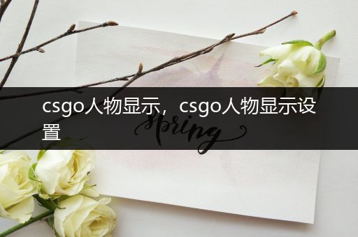 csgo人物显示，csgo人物显示设置