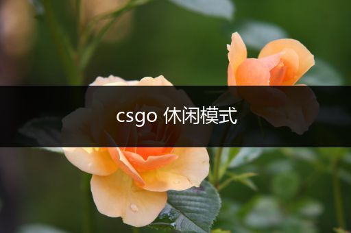 csgo 休闲模式