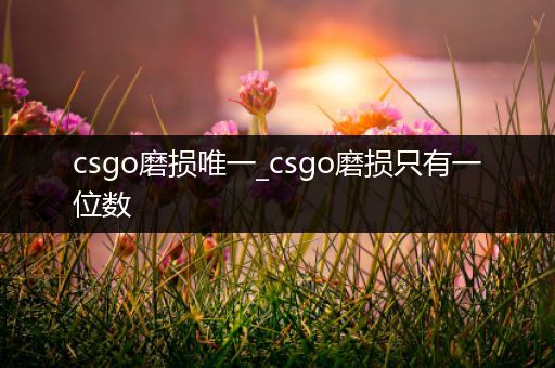 csgo磨损唯一_csgo磨损只有一位数