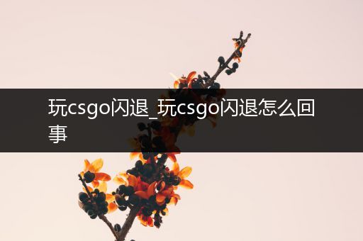 玩csgo闪退_玩csgo闪退怎么回事