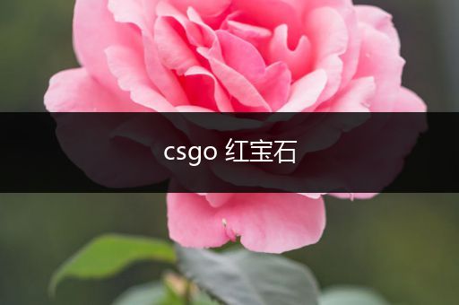 csgo 红宝石