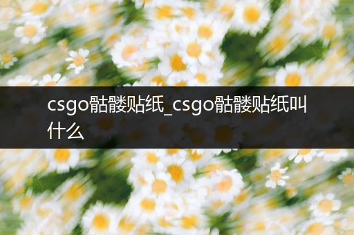 csgo骷髅贴纸_csgo骷髅贴纸叫什么