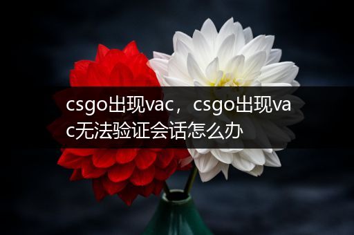 csgo出现vac，csgo出现vac无法验证会话怎么办