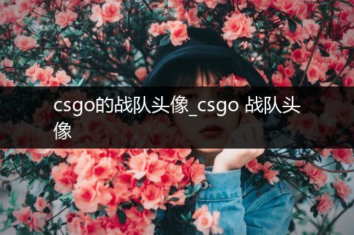 csgo的战队头像_csgo 战队头像