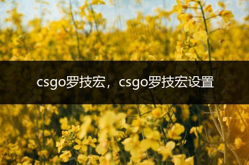 csgo罗技宏，csgo罗技宏设置