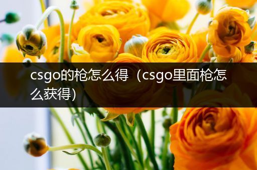 csgo的枪怎么得（csgo里面枪怎么获得）