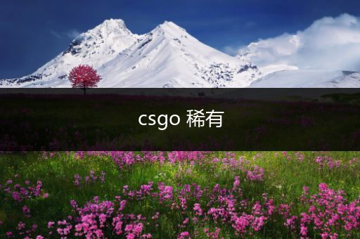 csgo 稀有