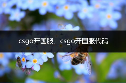 csgo开国服，csgo开国服代码