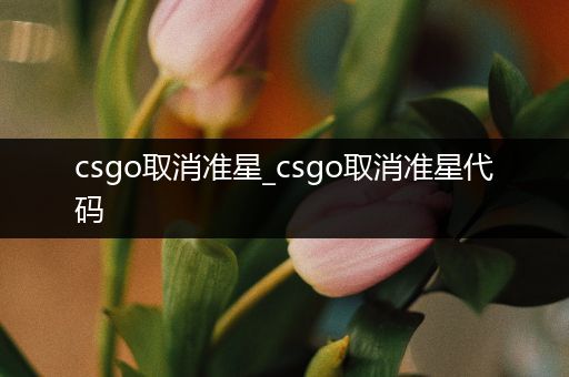 csgo取消准星_csgo取消准星代码