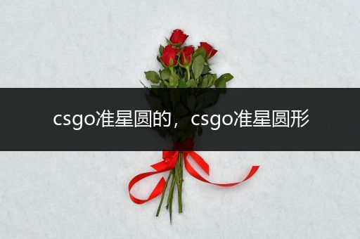 csgo准星圆的，csgo准星圆形