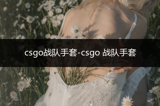 csgo战队手套-csgo 战队手套