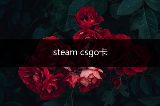 steam csgo卡