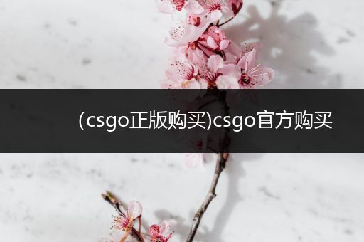 （csgo正版购买)csgo官方购买