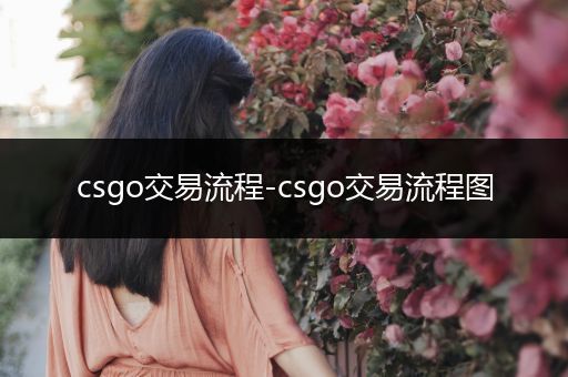 csgo交易流程-csgo交易流程图