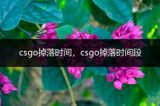 csgo掉落时间，csgo掉落时间段