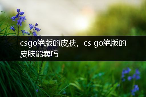 csgo绝版的皮肤，cs go绝版的皮肤能卖吗