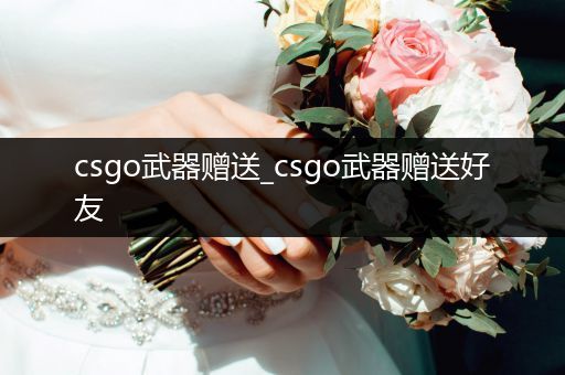 csgo武器赠送_csgo武器赠送好友