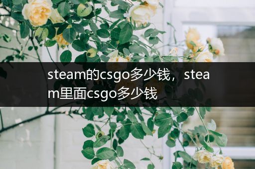 steam的csgo多少钱，steam里面csgo多少钱