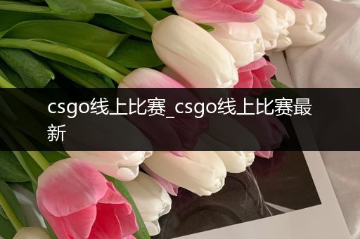 csgo线上比赛_csgo线上比赛最新