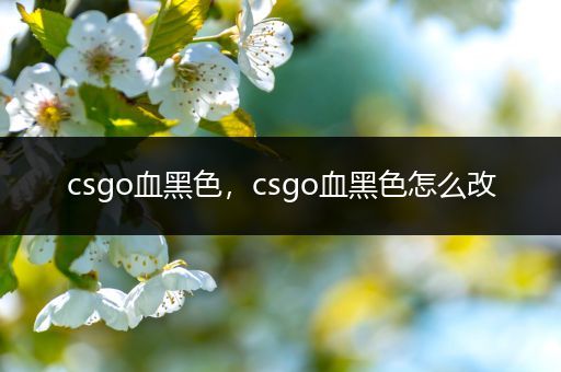 csgo血黑色，csgo血黑色怎么改