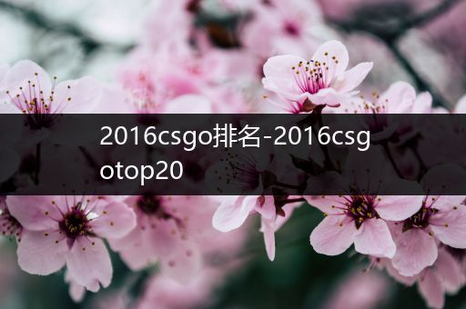 2016csgo排名-2016csgotop20